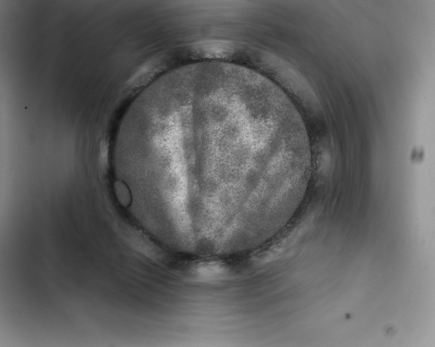 X0000102520262200808221848