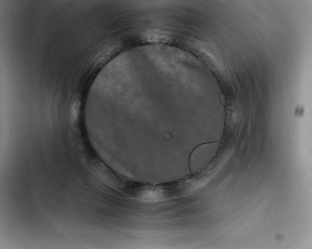 X0000102520263200808221848