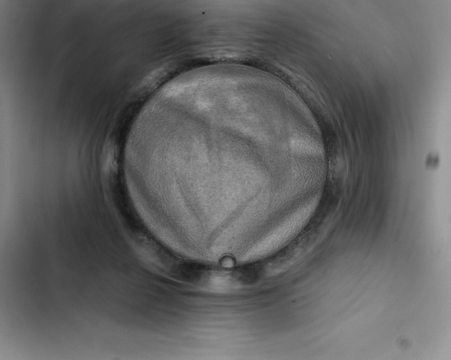 X0000102520264200808221848