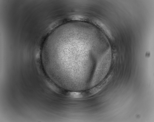 X0000102520265200808221848