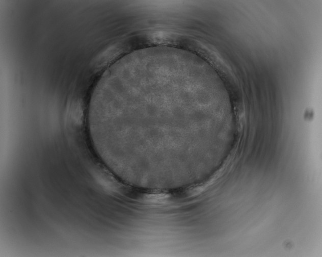 X0000102520266200808221848