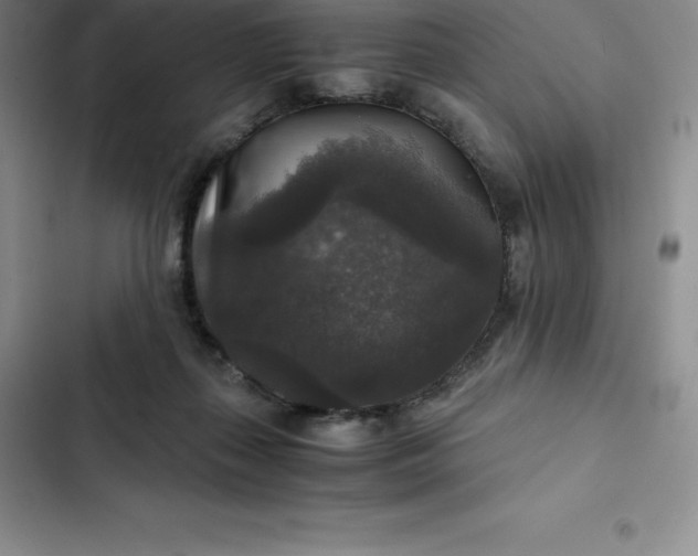 X0000102520267200808221848