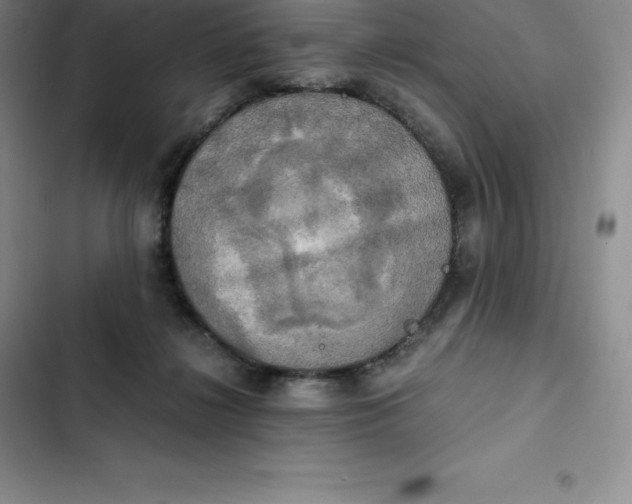 X0000102520268200808221848