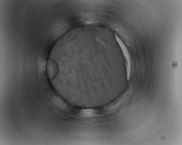 X0000102520269200808221848