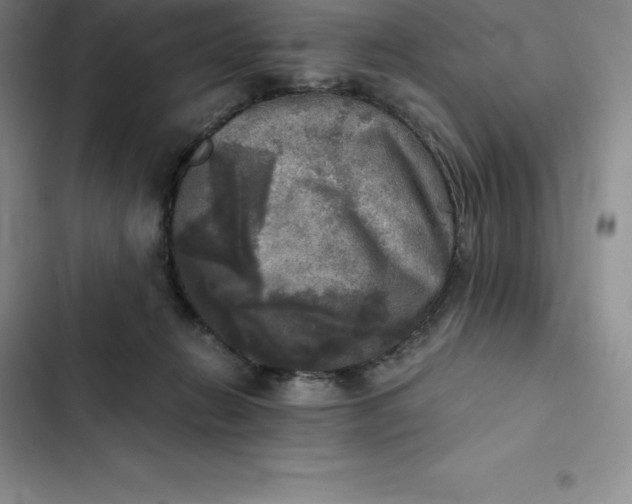 X0000102520270200808221848