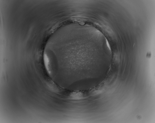 X0000102520271200808221848