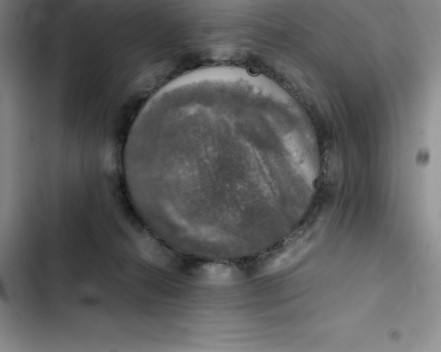 X0000102520272200808221848