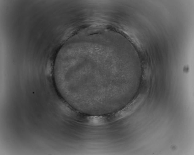 X0000102520273200808221848