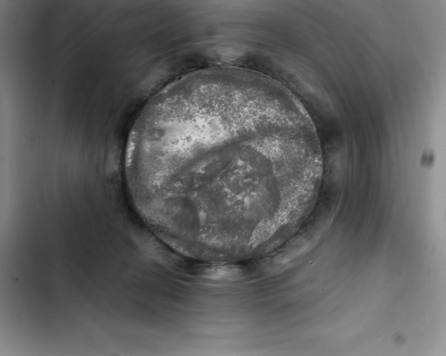 X0000102520274200808221848