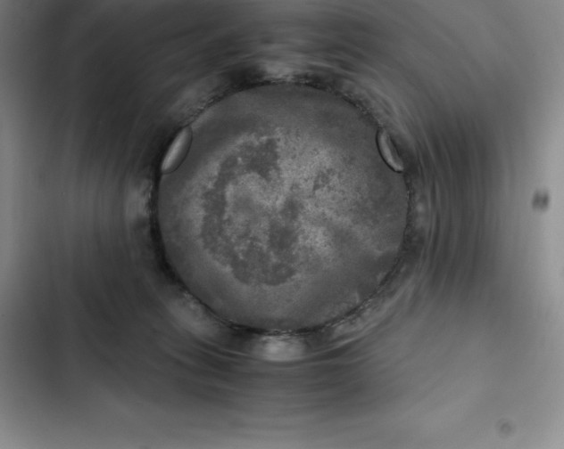 X0000102520275200808221848