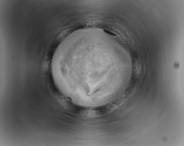 X0000102520276200808221848