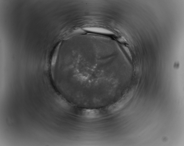 X0000102520277200808221848