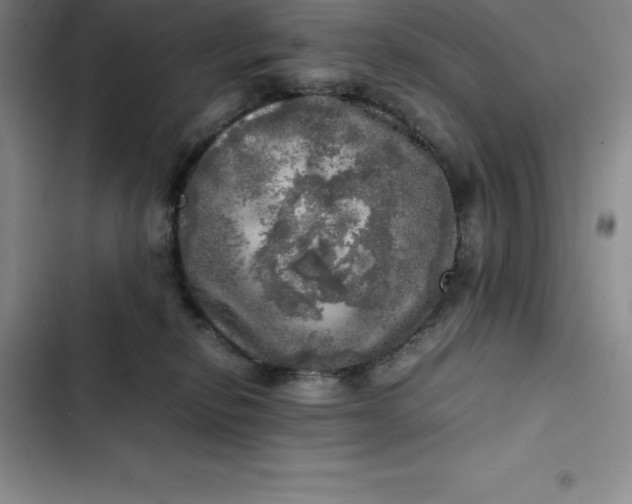 X0000102520278200808221848