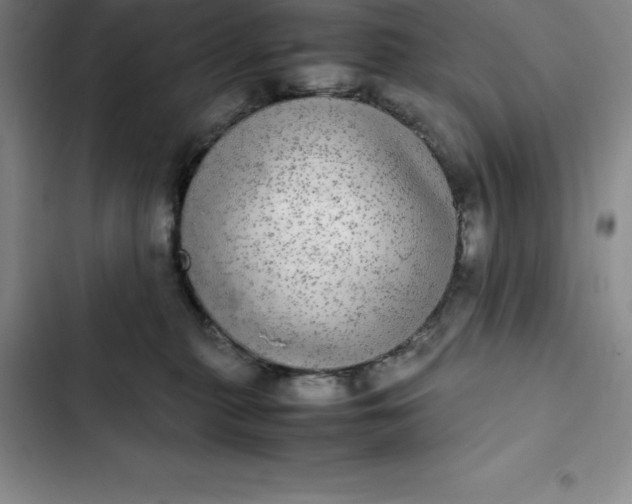 X0000102520279200808221848