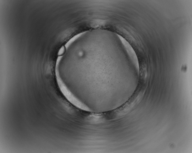 X0000102520280200808221848