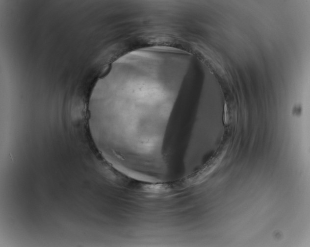 X0000102520281200808221848