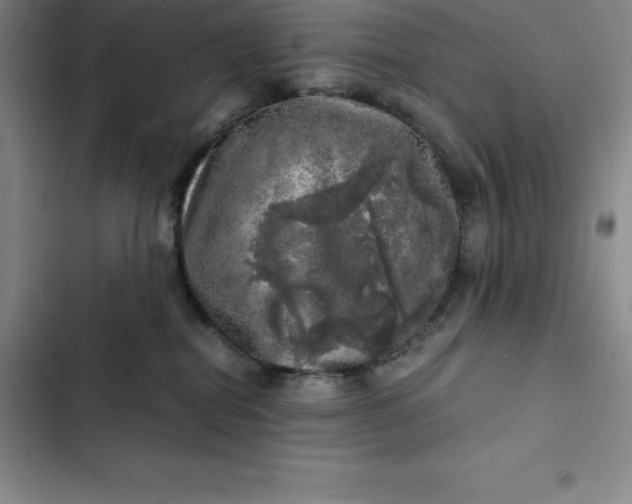 X0000102520282200808221848