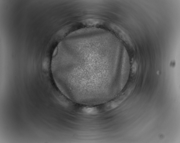 X0000102520283200808221848