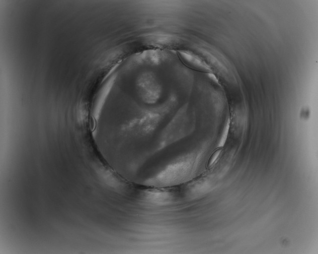 X0000102520284200808221848