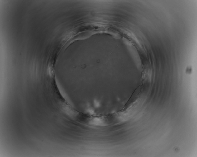 X0000102520285200808221848