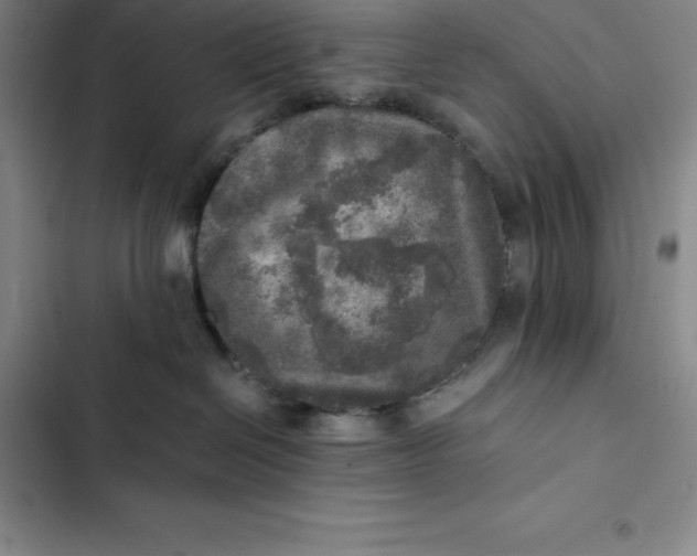 X0000102520286200808221848