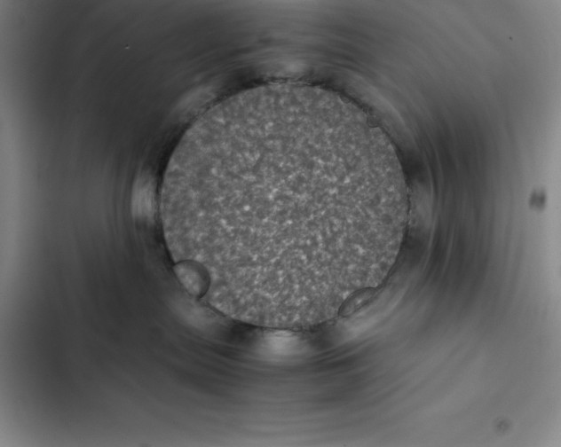 X0000102520287200808221848