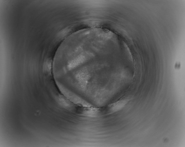 X0000102520288200808221848