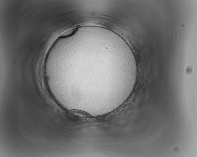 X0000102520289200808221848