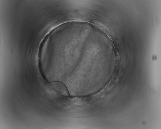 X0000102520290200808221848