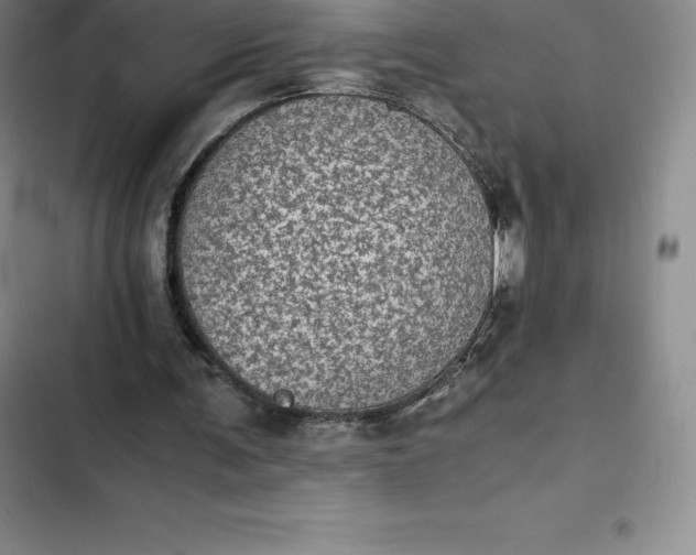 X0000102520291200808221848