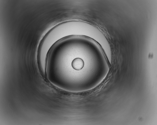 X0000102520292200808221848