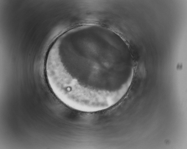 X0000102520293200808221848