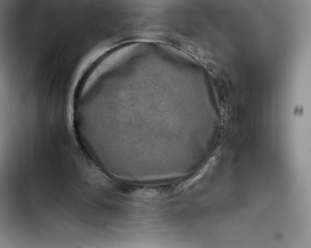 X0000102520294200808221847