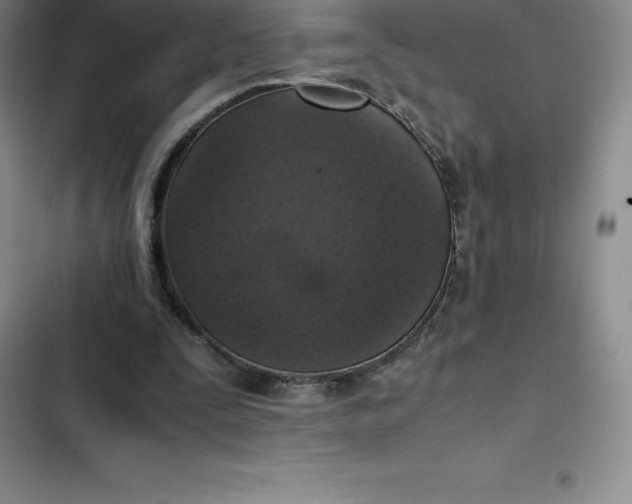 X0000102520295200808221847