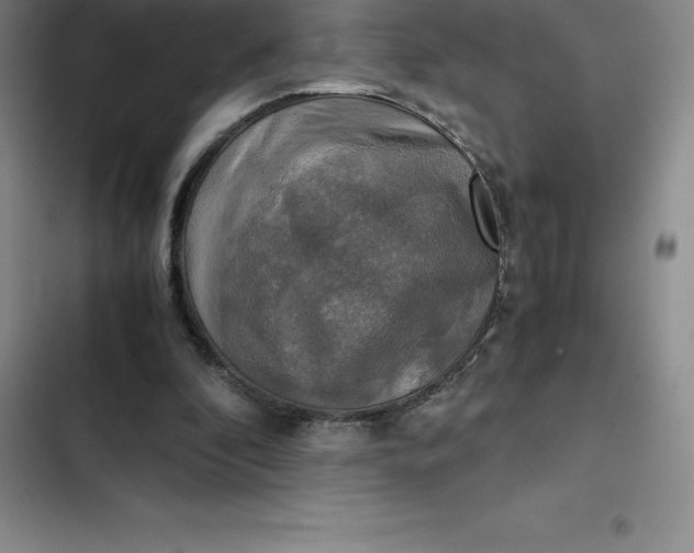 X0000102520296200808221847