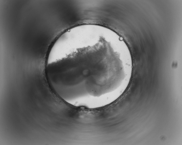 X0000102520297200808221847