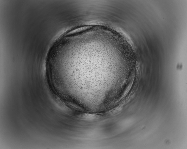 X0000102520298200808221847