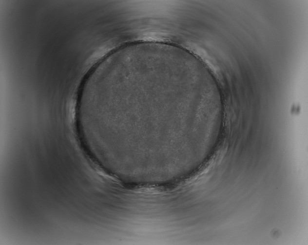 X0000102520299200808221847