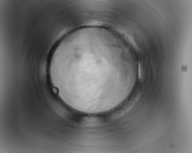 X0000102520300200808221847