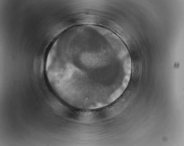 X0000102520301200808221847