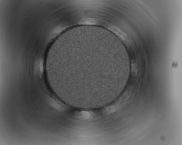 X0000102520302200808221847