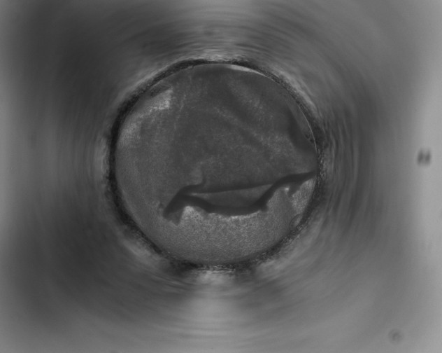 X0000102520303200808221847