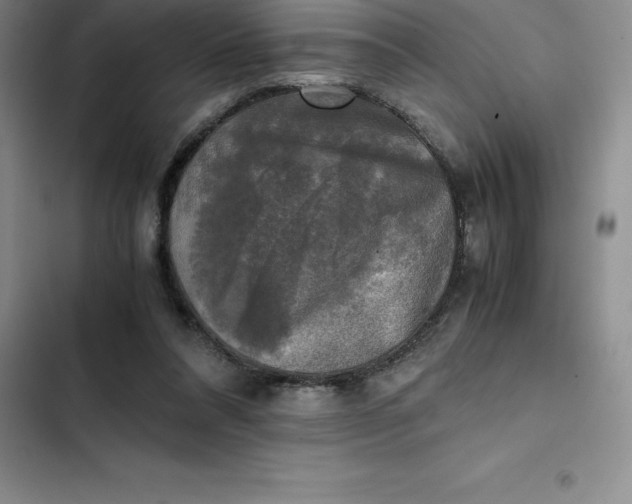 X0000102520304200808221847