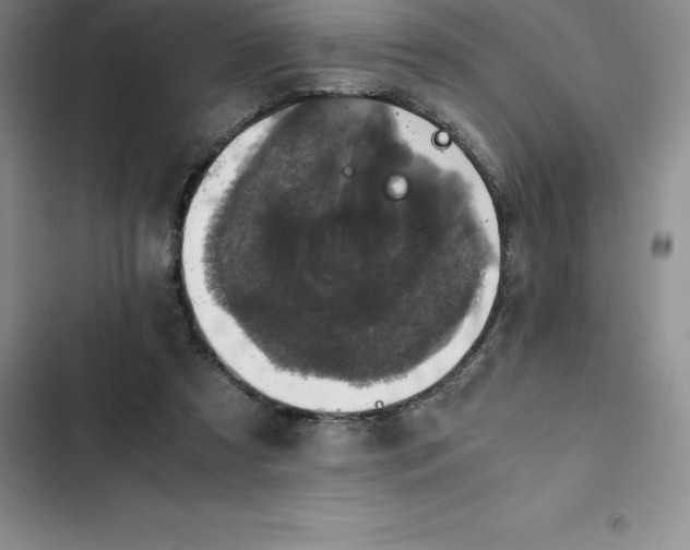 X0000102520305200808221847