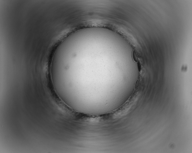 X0000102520306200808221847