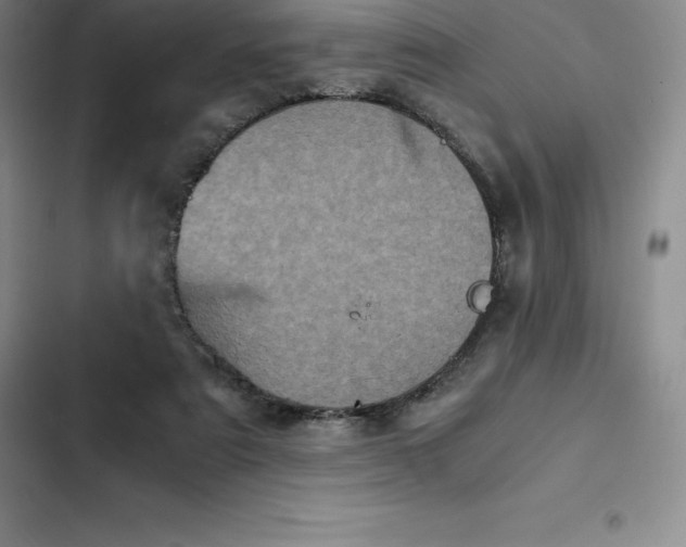 X0000102520307200808221847