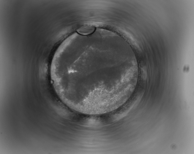 X0000102520308200808221847