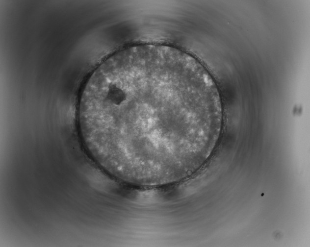 X0000102520309200808221847