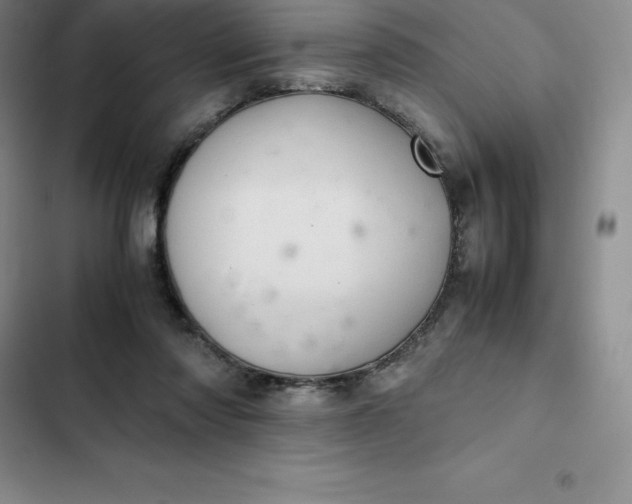 X0000102520310200808221847