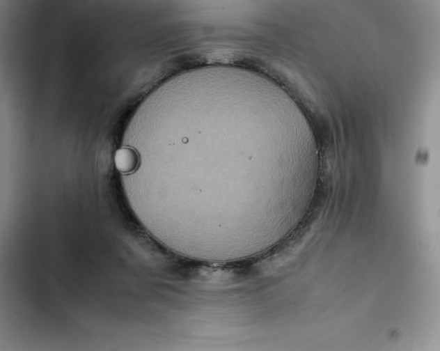 X0000102520311200808221847